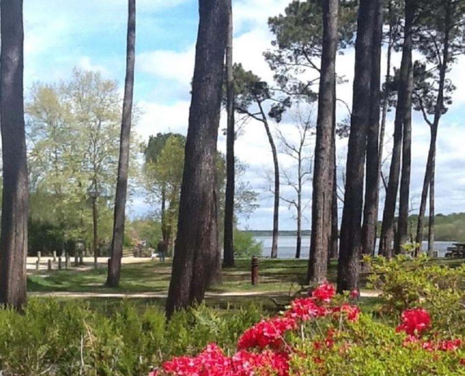 Hotel Au Bon Coin du Lac Mimizan Extérieur photo